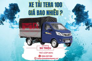 tera 100s giá bao nhiêu