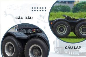 cầu dầu và cầu láp